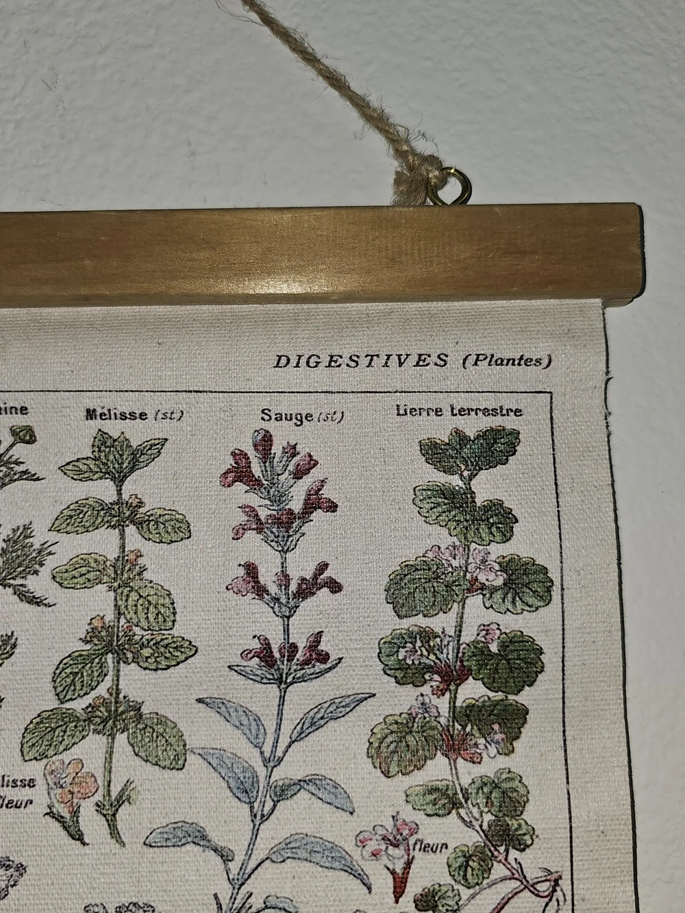 NWOT Botanical Herb Chart Wall Hanging - Beige & Green